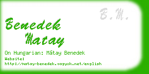 benedek matay business card
