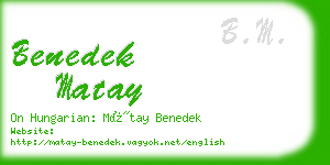 benedek matay business card